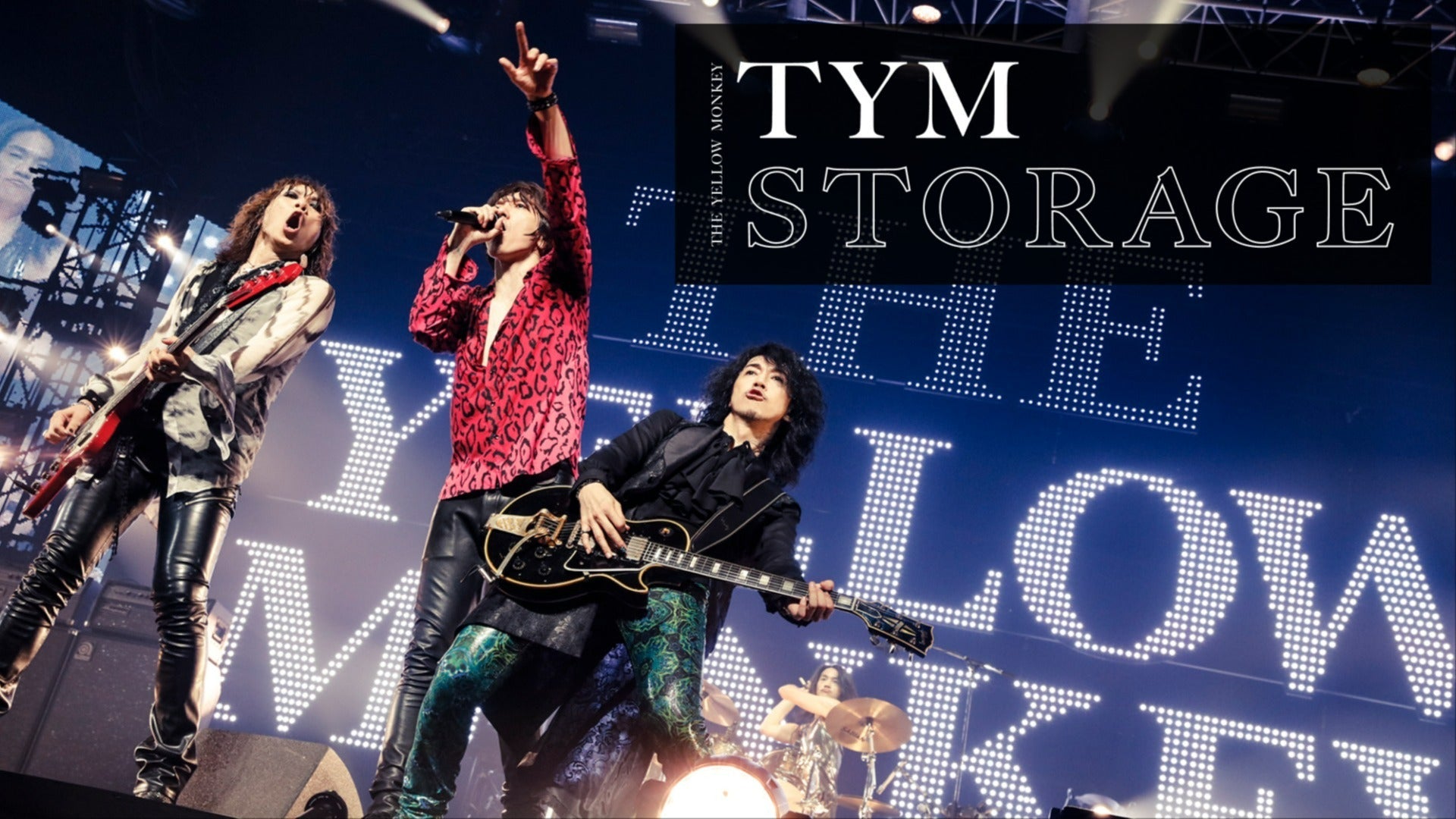 ♥tmmiyさん15日迄お取り置き♥ TYM STORAGE – sheeta-shop