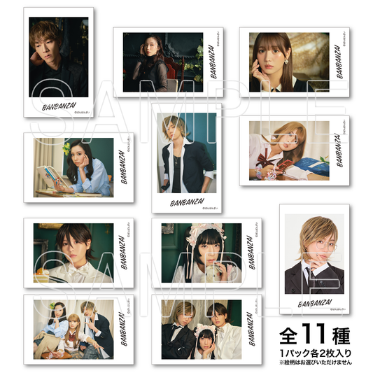 ばんばんざい ランダムチェキ風ブロマイド(全11種/各2枚入り)【3月下旬以降、順次発送】