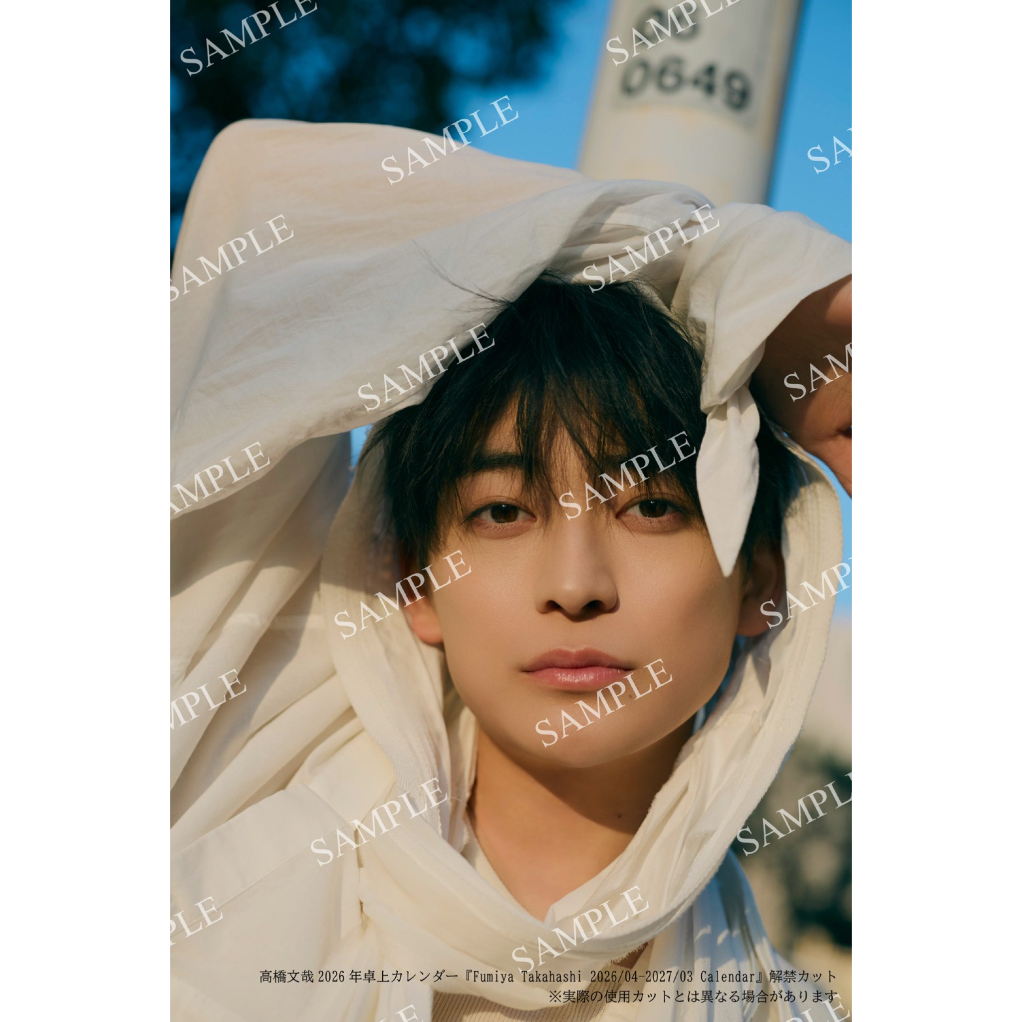 FC限定版】Fumiya Takahashi 2026/04-2027/03 Calendar – sheeta-shop