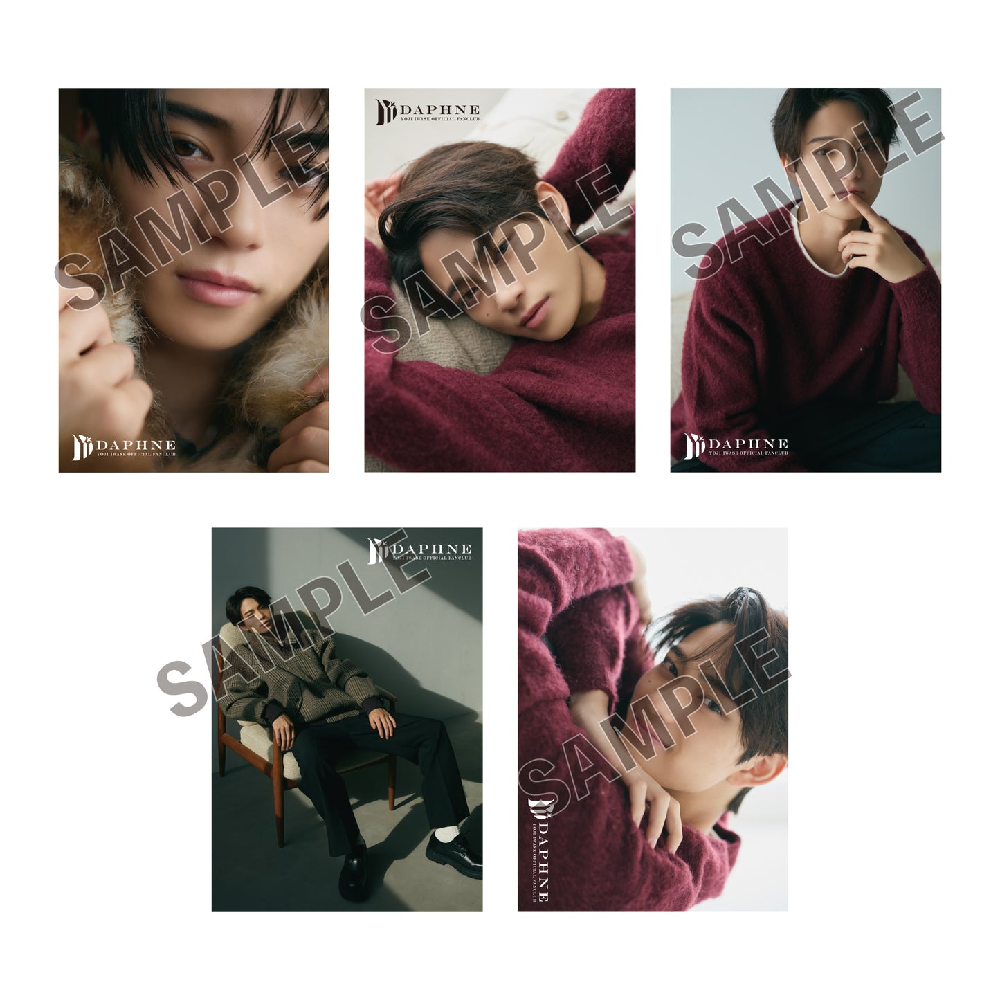 ＜岩瀬洋志/会員限定＞2nd fan meeting ポストカードセット