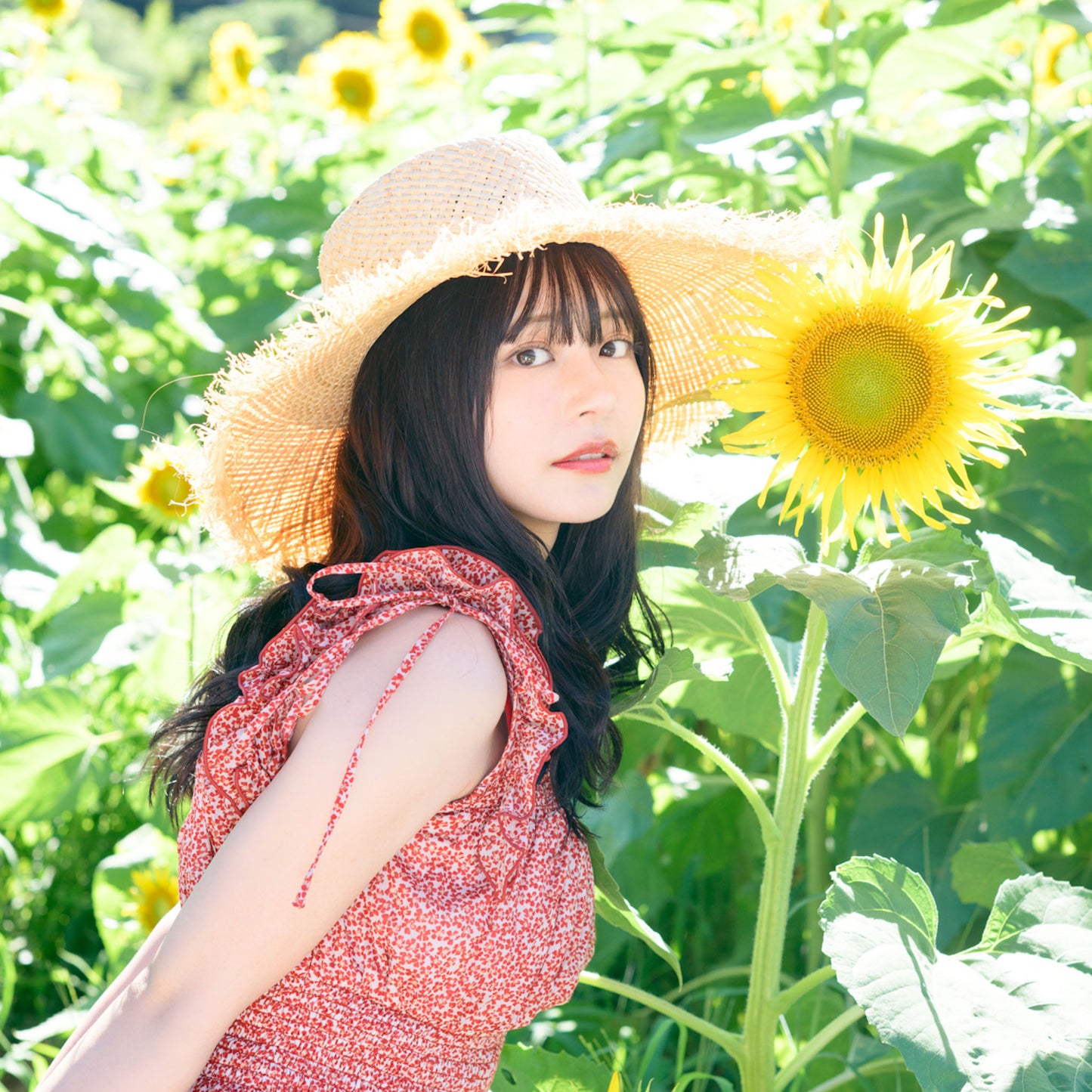 椛島光 Calendar 2026 Official Fanclub Limited Edition